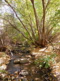 City Creek P1020692.jpg