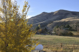 Chinese Peak and Planted Aspen from Our Deck _DSC3098.jpg