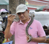 Man trying to make money from snake in front of wat po _DSC3384.jpg