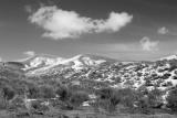 Camelback Mtn Schwarzwei smallfile _DSC0123.jpg