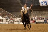 bucking bronco _DSC0748.jpg