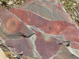 Colorful layered rock at Gibson Jack P1020630.jpg