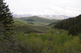 Springtime Mountain Scene from West Buckskin Road _DSC3770.jpg