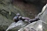 IMG_7152_20060528e.jpg