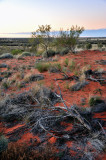 Outback terrain