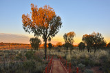 Outback sunrise