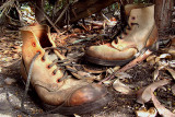 Stockmans Boots  ~