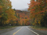 Fall Foliage - Maine or NH