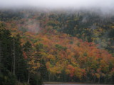 Fall Foliage - Maine or NH