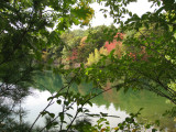 Walden Pond - Concord, Mass.