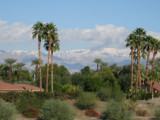 (from parking lot of the Rancho Mirage Library)