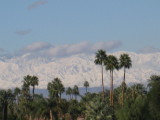 (from patio of the Rancho Mirage Library)