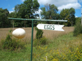 eggs, Conklin, 2005