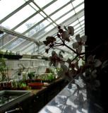 Student Planting Room