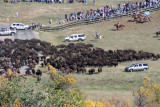 Custer State Park, South Dakota