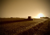 Harvest @ Sunset - Madison County, Indiana