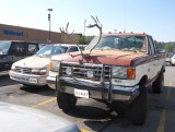 At our local Wal Mart