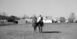 Dori, Kelly, & the horses