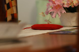 Testing my Camera...