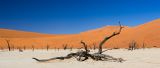 DeadValey, Desierto de Namibia