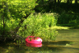 Pink Tube on Elk Creek.