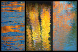Fall colors triptych.