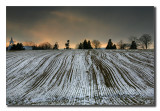 Winter field.