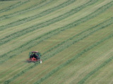 Charente countryside 5