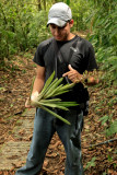 Meyo showing us the Bromiliad