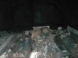 More Bone Rooms