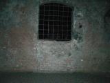 More Bone Rooms
