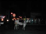 December in Vienna 2005