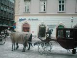 Dec 30 last day Stephens Platz