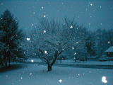 The Blue Hour