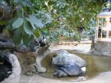 Vienna Zoo