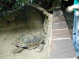 Vienna Zoo
