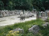 Vienna Zoo