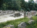Vienna Zoo