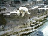 Vienna Zoo