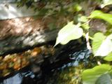 Vienna Zoo