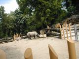 Vienna Zoo
