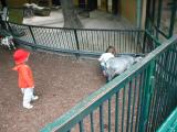 Vienna Zoo