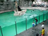 Vienna Zoo