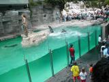 Vienna Zoo
