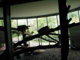 Vienna Zoo