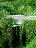  Ivy bridge, Cinque Terre. Italy