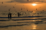 The sea was teaming with fish and the birds were having a feeding frenzy!