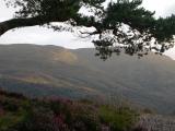 Loch Lomond