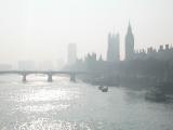 Misty Westminster
