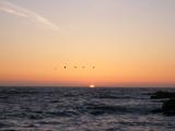Pacific Grove Shore Sunset #1